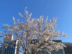 -泉城广场