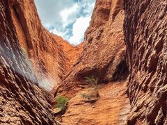 -天山神秘大峡谷