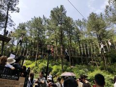 -梦幻奥陶纪景区