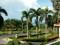 android_upload_pic-三亚亚龙湾金棕榈度假酒店