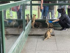-秦皇岛野生动物园
