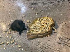 -苏州海洋馆