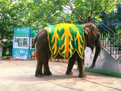 -大连森林动物园