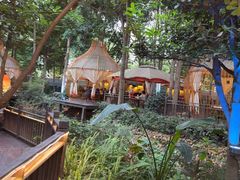 -二荆条·蜀鲜汇城市森林火锅