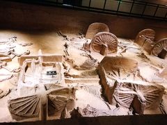 -洛阳周王城天子驾六博物馆