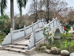 -金花茶公园