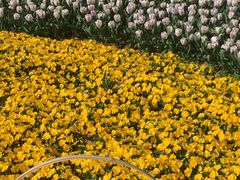 -玄武湖景区-情侣园游乐场