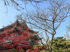 -龙华寺
