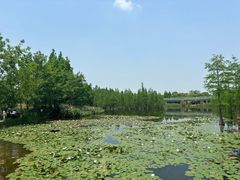 -白鹭湾湿地公园