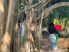 -人民公园(罗湖区)