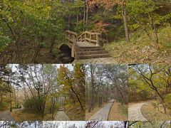 -金龙寺国家森林公园