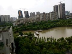 -广东茂名森林公园