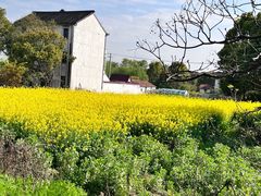 -广富林郊野公园