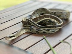 -昆明动物园