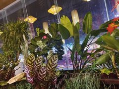 -小龙坎火锅(沙井店)