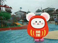 -杭州浪浪浪水公园