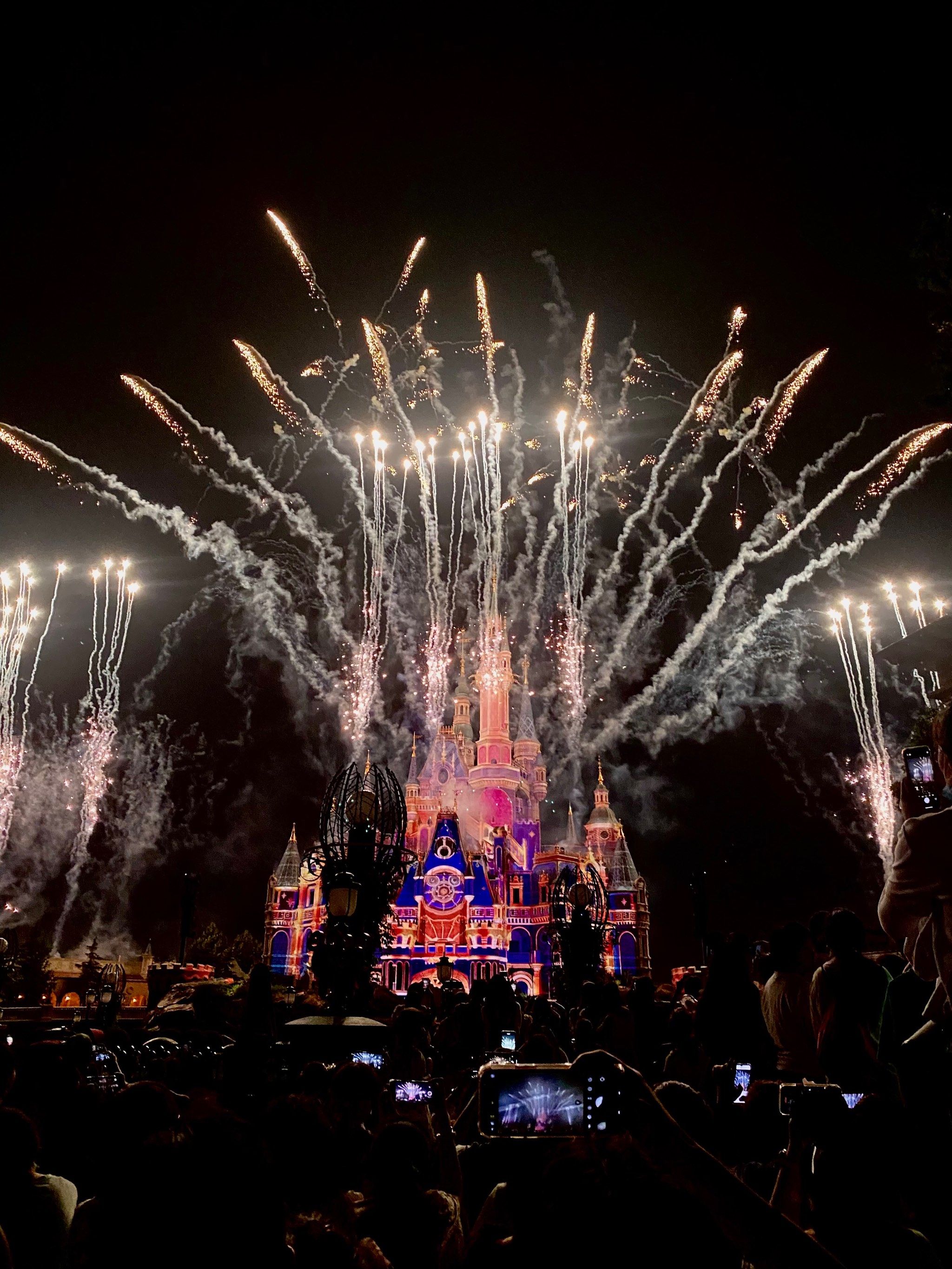 迪士尼烟花拍照 「上海迪士尼度假区」生命绽放