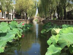 -南戴河国际娱乐中心