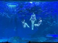 -海合安成都极地海洋公园