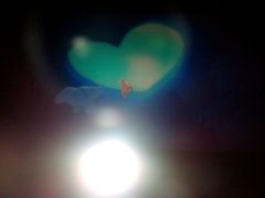 -博纳国际影城(淄博店)