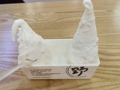 -野人先生Gelato(上海长宁龙之梦店)