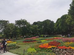 -秀丽东方