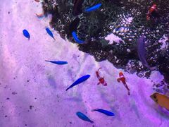 -沈阳海洋探索中心