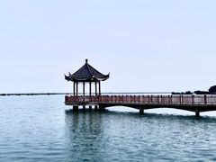 -焦岗湖旅游度假区