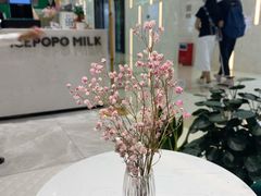 -ICEPOPO MILK(玖洲道店)