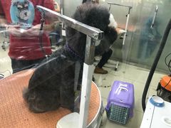 -乐宠宠物店(世纪金源店)