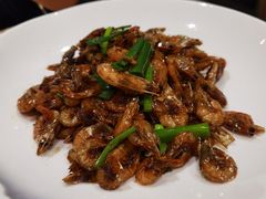 -老江南春·中国龙菜(衡山路店)