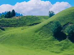 -新疆那拉提国家旅游度假区