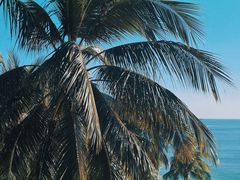-日落吧·海景咖啡厅·餐酒吧·鸡尾酒·下午茶·乐队表演·浪漫夕阳·三亚文华东方酒店
