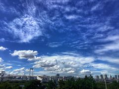 -台场海滨公园船码头