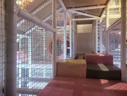 -奈尔宝家庭中心·亲子餐厅(华采天地店)