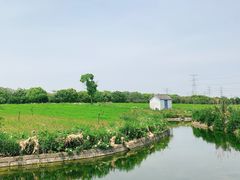 -上海杨姆庄园
