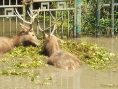-溱湖国家湿地公园