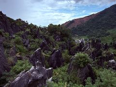 -玉石林风景区