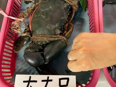 -龙海鲜螃蟹王(宏茂桥店)