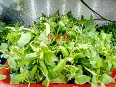 -老味道1992(武当山店)