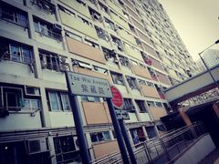 -彩虹村