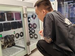 -FAELING PETS美天灵宠物(富力广场店)