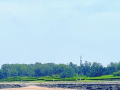 -日照世帆赛基地