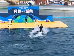 -秦皇岛乐岛海洋王国