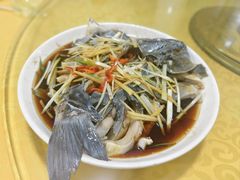 -煲来饱去冷水鱼