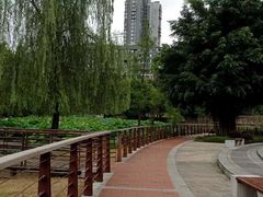 -沐仙湖湿地公园