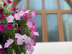 -中国证券博物馆