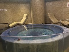 -厦门威斯汀酒店