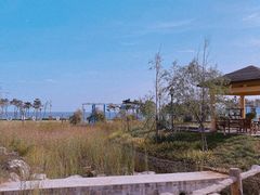 -青岛海泉湾度假区温泉