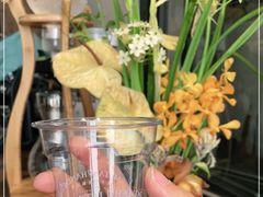 -Metal hands·铁手咖啡